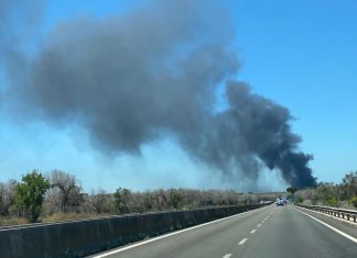 Densa colonna di fumo nero sulla statale: incendio si scatena in un vivaio