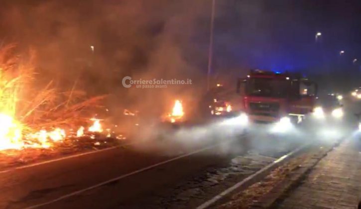 Divampa rogo alla Montagna Spaccata, il fuoco sfiora le auto parcheggiate sulla provinciale - Corriere Salentino