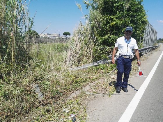 Sfonda il guardrail e vola giù dal cavalcavia con l'auto: paura per una 20enne - Corriere Salentino