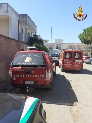 Proseguono le ricerche dell'anziano scomparso: in cielo si alzano anche droni ed elicotteri - Corriere Salentino