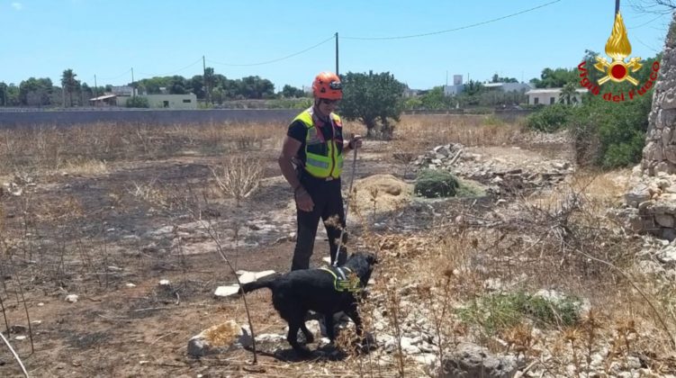 In vacanza nel Salento, scompare nel nulla: rintracciata la 70enne di cui non si avevano più notizie - Corriere Salentino