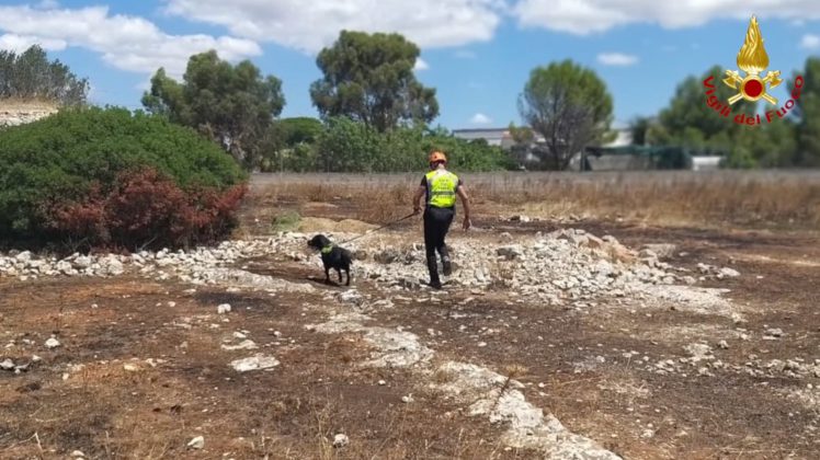 In vacanza nel Salento, scompare nel nulla: rintracciata la 70enne di cui non si avevano più notizie - Corriere Salentino