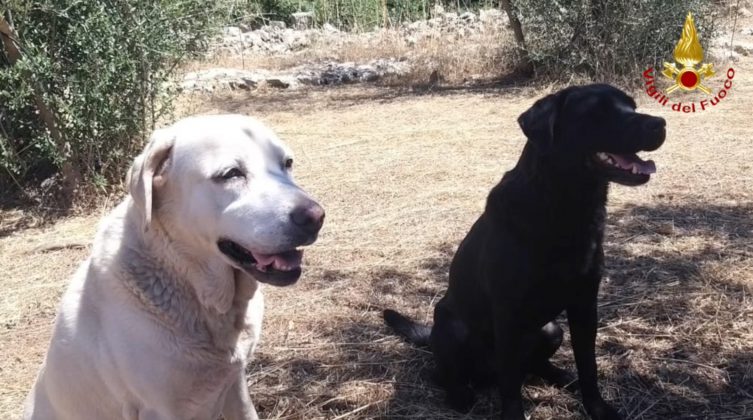 In vacanza nel Salento, scompare nel nulla: rintracciata la 70enne di cui non si avevano più notizie - Corriere Salentino