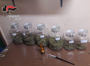 Sul terrazzo una serra di marijuana, in casa tre chili di droga: incensurato finisce ai domiciliari - Corriere Salentino