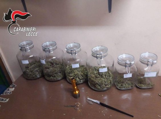 Sul terrazzo una serra di marijuana, in casa tre chili di droga: incensurato finisce ai domiciliari - Corriere Salentino