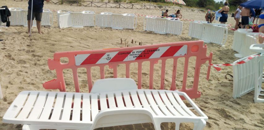 Tartaruga Caretta Caretta nidifica sul litorale ionico: è la prima volta del 2020. Sito messo in sicurezza - Corriere Salentino