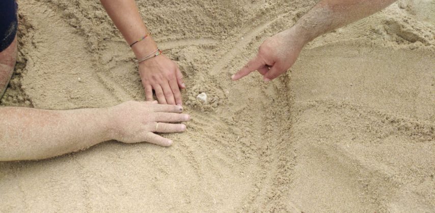 Tartaruga Caretta Caretta nidifica sul litorale ionico: è la prima volta del 2020. Sito messo in sicurezza - Corriere Salentino