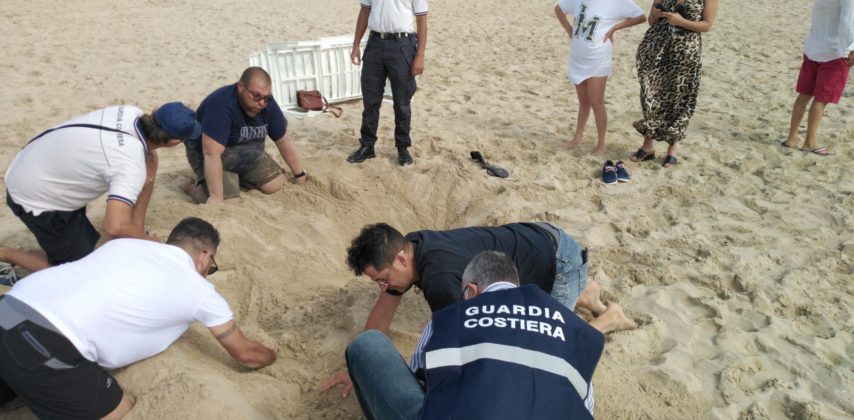Tartaruga Caretta Caretta nidifica sul litorale ionico: è la prima volta del 2020. Sito messo in sicurezza - Corriere Salentino