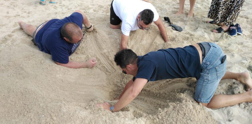 Tartaruga Caretta Caretta nidifica sul litorale ionico: è la prima volta del 2020. Sito messo in sicurezza - Corriere Salentino