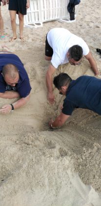 Tartaruga Caretta Caretta nidifica sul litorale ionico: è la prima volta del 2020. Sito messo in sicurezza - Corriere Salentino