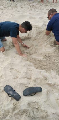 Tartaruga Caretta Caretta nidifica sul litorale ionico: è la prima volta del 2020. Sito messo in sicurezza - Corriere Salentino