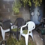 Blitz nel campo "Panareo": allacci abusivi e piante di marijuana. Sequestri e 18 denunce - Corriere Salentino