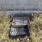 Blitz nel campo "Panareo": allacci abusivi e piante di marijuana. Sequestri e 18 denunce - Corriere Salentino