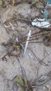 La Beirut salentina, abbandonata da anni e sporca: un tempo lido di tendenza dei leccesi - Corriere Salentino