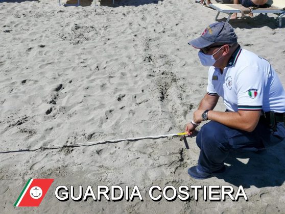 Occupa abusivamente un tratto di spiaggia libera, sequestrati ombrelloni e lettini alla Baia dei Turchi - Corriere Salentino