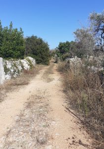 Rave party clandestino: blitz nelle campagne del Basso Salento. Almeno un centinaio i partecipanti - Corriere Salentino