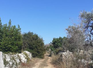 Coldiretti Puglia, 197mila ettari di campi ‘mangiati’ da infestanti e patogeni