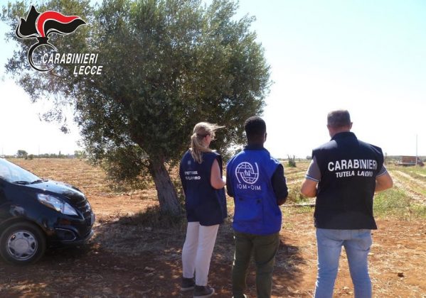 Ispezioni nei campi e negli agriturismi, sospese tre attività: fioccano sanzioni per 200mila euro - Corriere Salentino