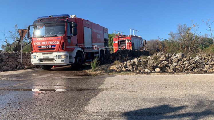 Prosegue la scia di fuoco dell'estate salentina: in fumo distesa di ulivi - Corriere Salentino