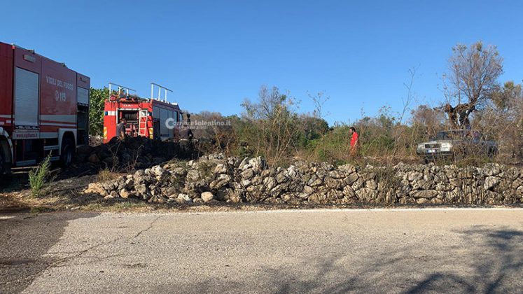 Prosegue la scia di fuoco dell'estate salentina: in fumo distesa di ulivi - Corriere Salentino