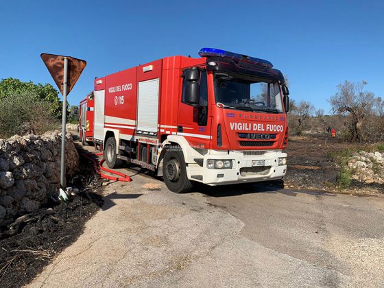 Prosegue la scia di fuoco dell'estate salentina: in fumo distesa di ulivi - Corriere Salentino