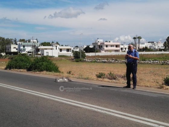 Audi colpisce un pitbull sbucato sulla provinciale, tamponamento a catena e traffico in tilt - Corriere Salentino