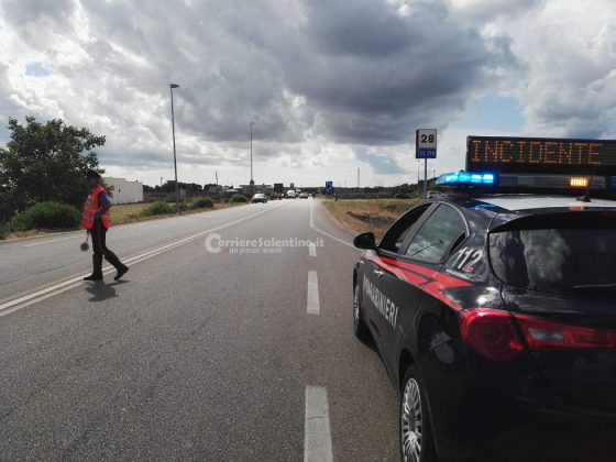 Audi colpisce un pitbull sbucato sulla provinciale, tamponamento a catena e traffico in tilt - Corriere Salentino