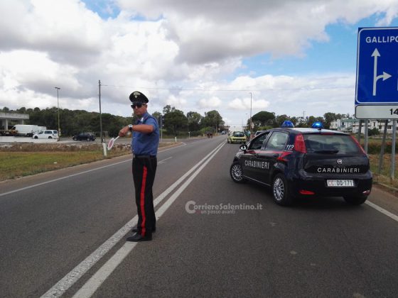 Audi colpisce un pitbull sbucato sulla provinciale, tamponamento a catena e traffico in tilt - Corriere Salentino
