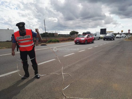 Audi colpisce un pitbull sbucato sulla provinciale, tamponamento a catena e traffico in tilt - Corriere Salentino
