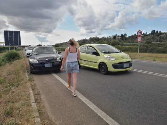 Audi colpisce un pitbull sbucato sulla provinciale, tamponamento a catena e traffico in tilt - Corriere Salentino