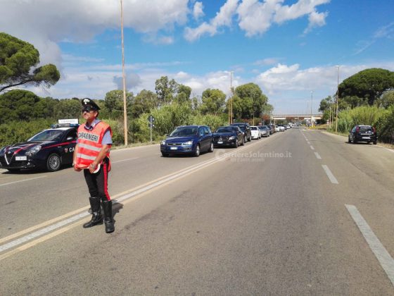 Audi colpisce un pitbull sbucato sulla provinciale, tamponamento a catena e traffico in tilt - Corriere Salentino