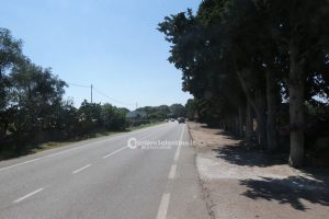 Tragico schianto in auto contro un albero: muore un 21enne leccese - Corriere Salentino