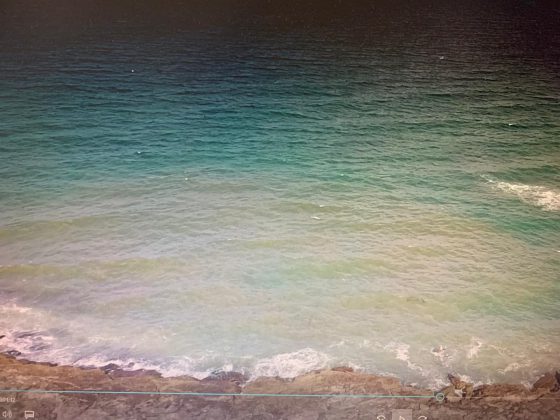 Macchie scure nel mare gallipolino, Negro: un danno per il territorio e le imprese - Corriere Salentino