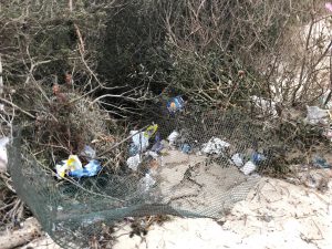 Porto Cesareo, la devastazione delle dune e l’assalto dei “barbari” - Corriere Salentino