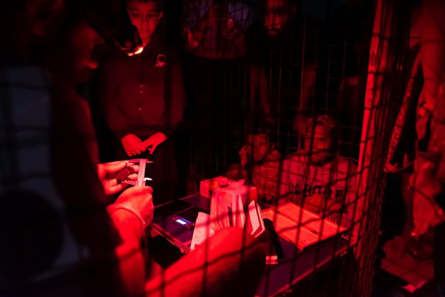 Nascono le prime tartarughine "salentine", tredici esemplari raggiungono il mare - Corriere Salentino