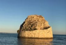 alla scoperta del salento: torre pali Cultura - Corriere Salentino