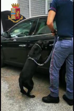 In auto con 18 chili di cocaina purissima, i panetti di droga negli sportelli: in carcere un 45enne - Corriere Salentino