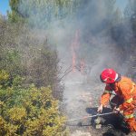 Altro giorno "infernale", il Salento brucia da nord a sud: in fiamme il canneto del parco di Ugento - Corriere Salentino