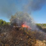 Altro giorno "infernale", il Salento brucia da nord a sud: in fiamme il canneto del parco di Ugento - Corriere Salentino