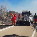 Altro giorno "infernale", il Salento brucia da nord a sud: in fiamme il canneto del parco di Ugento - Corriere Salentino