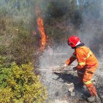 Altro giorno "infernale", il Salento brucia da nord a sud: in fiamme il canneto del parco di Ugento - Corriere Salentino