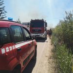 Altro giorno "infernale", il Salento brucia da nord a sud: in fiamme il canneto del parco di Ugento - Corriere Salentino