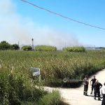Altro giorno "infernale", il Salento brucia da nord a sud: in fiamme il canneto del parco di Ugento - Corriere Salentino