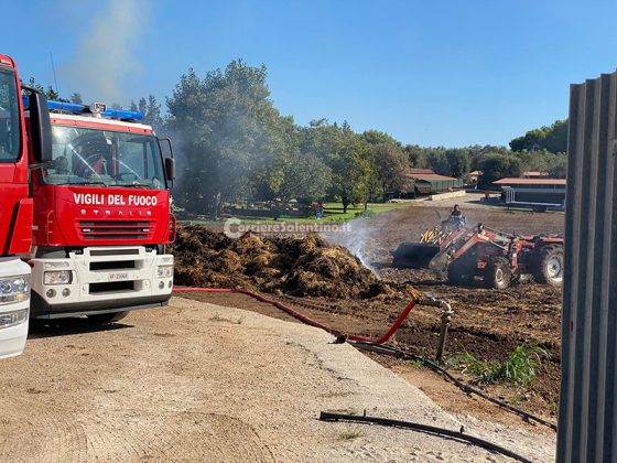 Fuoco nell'azienda agricola: in cenere decine di balle di fieno - Corriere Salentino