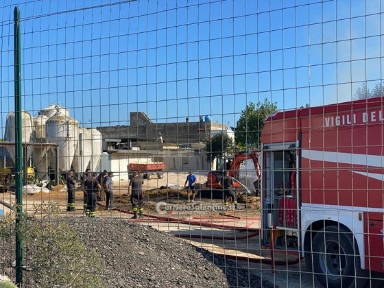 Fuoco nell'azienda agricola: in cenere decine di balle di fieno - Corriere Salentino