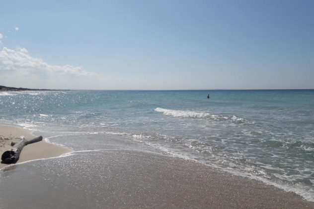 “Valorizziamo Punta Prosciutto”, nasce un'associazione per tutelarne la bellezza - Corriere Salentino