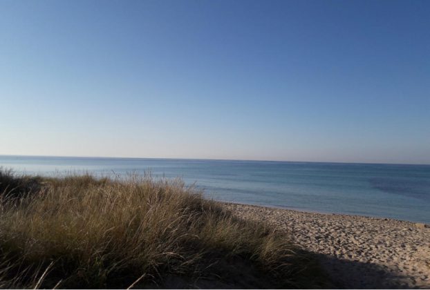 “Valorizziamo Punta Prosciutto”, nasce un'associazione per tutelarne la bellezza - Corriere Salentino