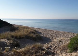 Puliamo le dune domenica 10 luglio Punta Prosciutto