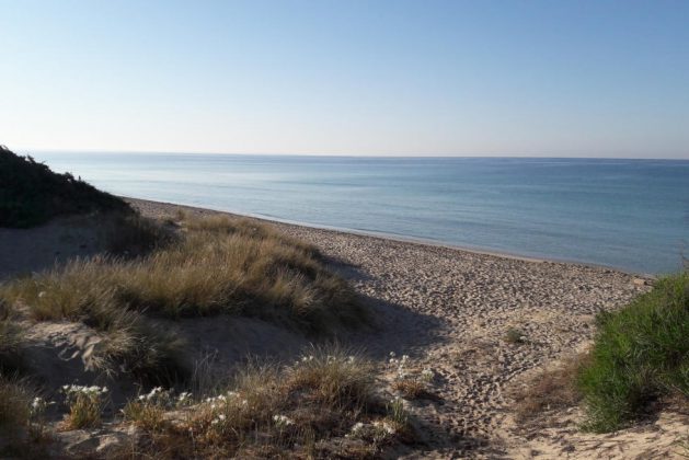 “Valorizziamo Punta Prosciutto”, nasce un'associazione per tutelarne la bellezza - Corriere Salentino