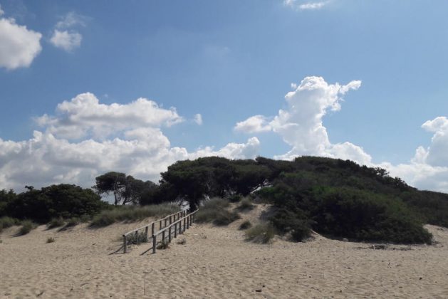 “Valorizziamo Punta Prosciutto”, nasce un'associazione per tutelarne la bellezza - Corriere Salentino